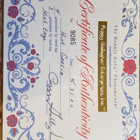 Ty Beanie Bear MINT and AUTHENTIC Garcia. Comes with Certificate of Authenticity - Picture 9 of 9